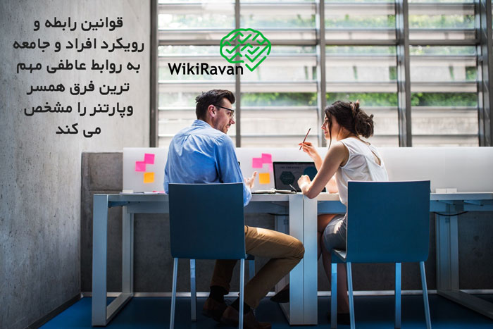 فرق همسر و پارتنر چیست
